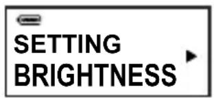 AIPTEK MP3S1 - Selección del formato de Voz - 3