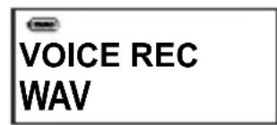 AIPTEK MP3S1 - Selecting the Voice Format - 5