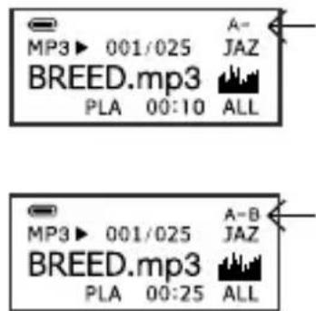 AIPTEK MP3S1 - Other Functions - 2