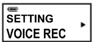 AIPTEK MP3S1 - Selecting the Voice Format - 4