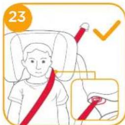 Joie Duallo - Use Booster - 4
