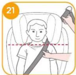 Joie Duallo - Use Booster - 2