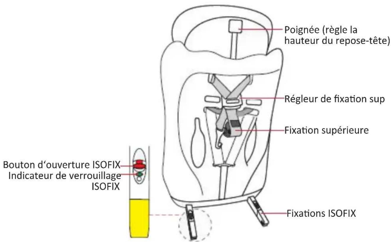 BabyGO ISO - Construction - 2