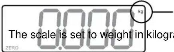 0.0000 kg The scale is set to weight in kilogram ZERO