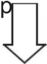 PROFOON PM690 - ProMoon - 2