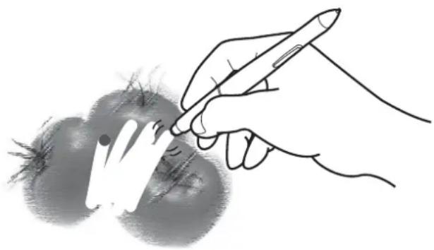WACOM DTU1631 - GOMMER - 1