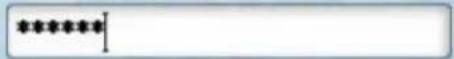 TOPCOM Webtalker 5000 - Enter your password - 1
