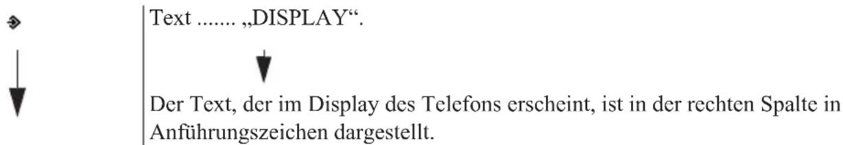 TOPCOM Balance - Zum Gebrauch dieser Bedienungsanleitung - 1