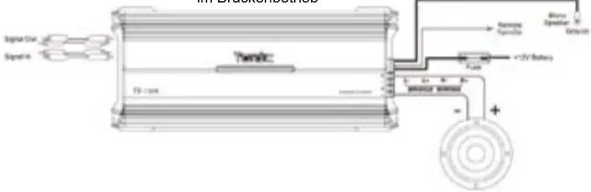Toxic TX600 - Toxic - 2