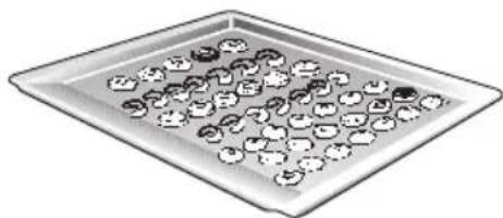 CONSTRUCTA CH11850 - Bakken - 2