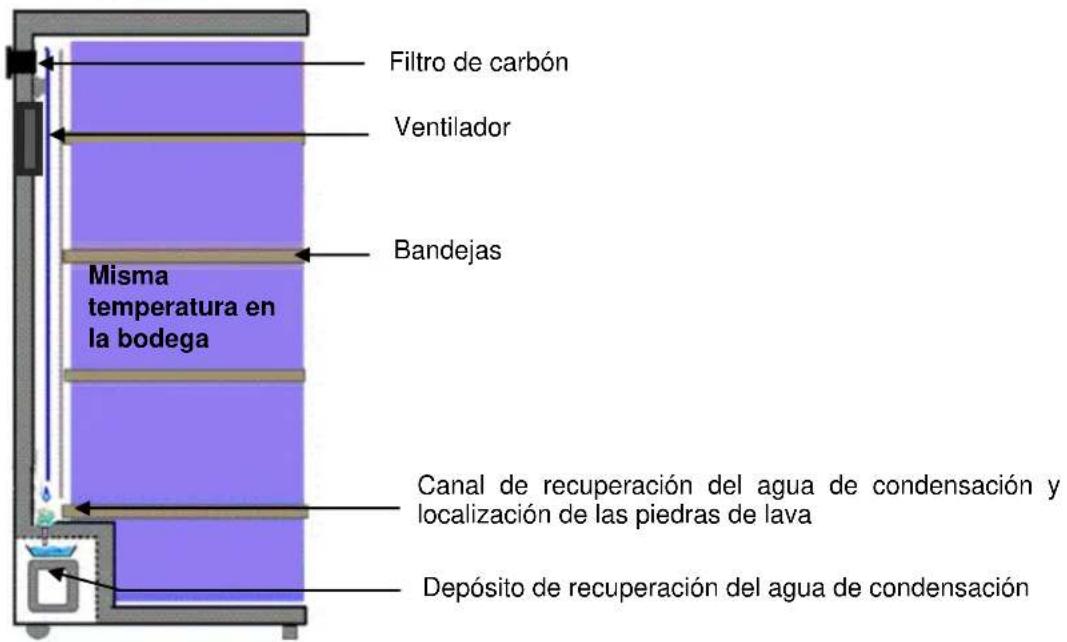 Filtro de carbón Ventilador Bandejas Misma temperatura en la bodega Canal de recuperación del agua de condensación y localización de las piedras de lava Depósito de recuperación del agua de condensación