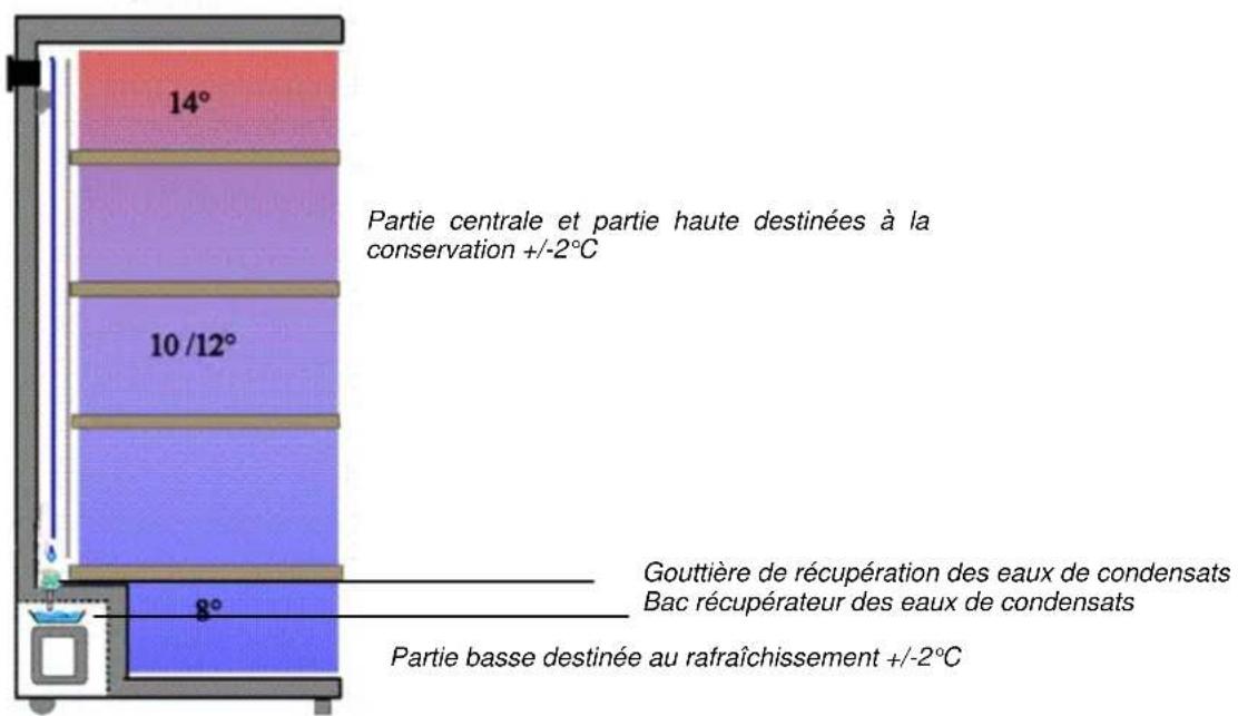 14° Partie centrale et partie haute destinées à la conservation +/-2°C 10/12° Gouttière de récupération des eaux de condensats Bac récupérateur des eaux de condensats 8° Partie basse destinée au rafraîchissement +/-2°C