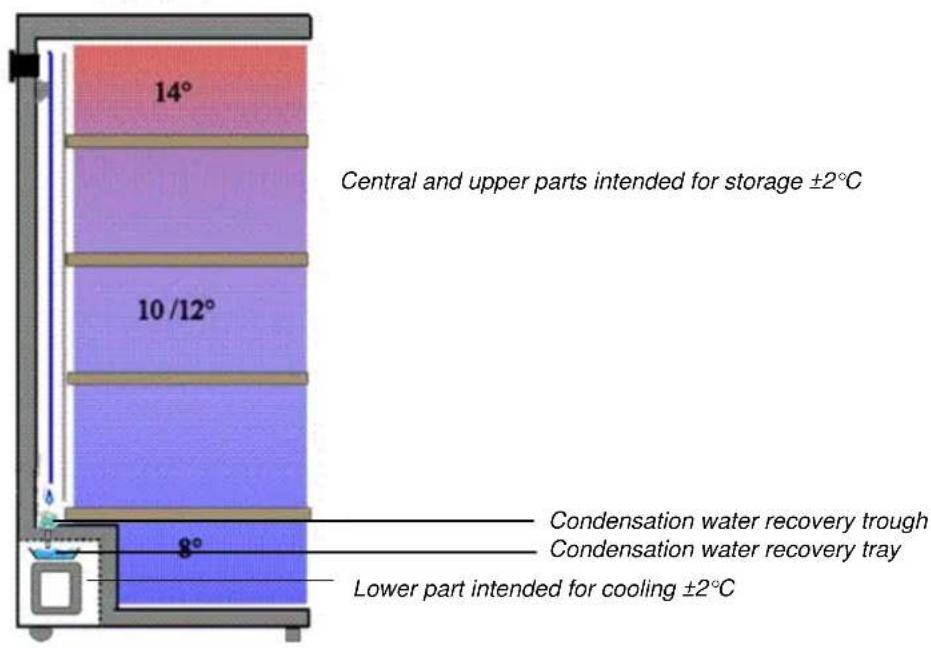 CLIMADIFF CLP204ZN - DESCRIPTION OF THE APPLIANCE - 2