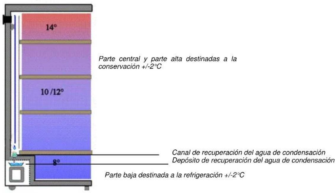14° Parte central y parte alta destinadas a la conservación +/-2°C 10/12° 8° Canal de recuperación del agua de condensación Depósito de recuperación del agua de condensación Parte baja destinada a la refrigeración +/-2°C