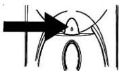 AMANA XRSS 465 - Para utiliser el botón de Front FILL (Ilenado frontal) (en algunos modelos): - 2