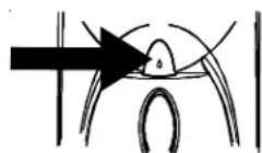 AMANA XRSS 267 - Come usare il tasting di Front Fill (riempimento anteriore) (solo in alcuni modelli): - 2