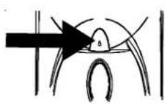 AMANA XRSS 267 - Gebruik van het dispensererkussen: - 2