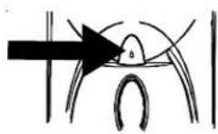 AMANA XRSS 267 - Front Fill (Önden Doldurma) Düğmesini kullanmak icin (bazi modeller): - 2