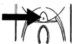 AMANA XRSS 267 - Sādan bruges Front Fill Button (forreste aftapningsknap) (visse modeller): - 1