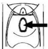 AMANA XRSS 204 Proline - To dispense ice: - 3