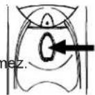 AMANA XRSS 204 Proline - Su Sebilinin Kullanimi Su Sebilinin Kullanimi - 3