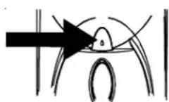 AMANA XRSS 204 Proline - Para utiliser o botão de Front Fill (enchimento frontal) (em algunos modelos): - 1