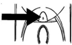 AMANA XRSS 204 Proline - Gebruik van het dispensererkussen: - 2