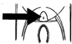 AMANA XRSS 204 Proline - Front Fill (Onden Doldurma) duğmesini kullanmak icin (bazi modeller): - 2