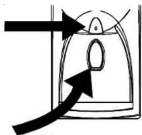 AMANA XRSS 204 Proline - Bandeja extraible - 1