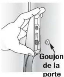 Goujon de la porte