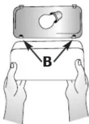 B