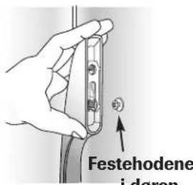 Festehodene i daren