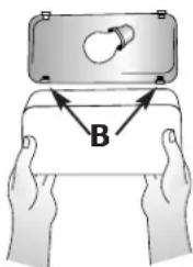 B