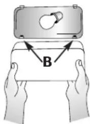 B