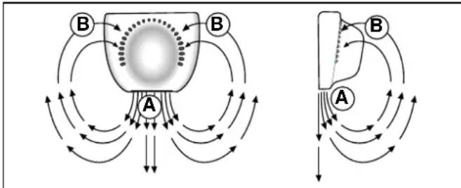 SCHOLTES RC 31 V - Come utilizzare al meglio il reparto frigorifero - 1