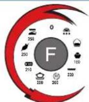 SCHOLTES FP 655.3 - 3 - 1