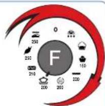 SCHOLTES FP 655.3 - 1 - 3