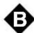 Ariston Thermo BCS 313 A VE I - Visto da vicino - 2