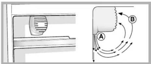 Ariston Thermo BCB 313 AA VE I S - Scomparto frigorifero - 1
