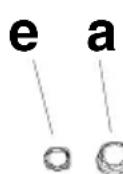 Ariston Thermo HC 9 IX - Descrição do exaustor - Fig. 1 - 2