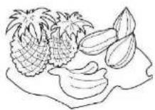 M-SYSTEM MKRV122 - Instructions for food storage - 6