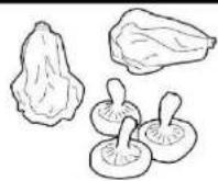 M-SYSTEM MKRV122 - Instructions for food storage - 1