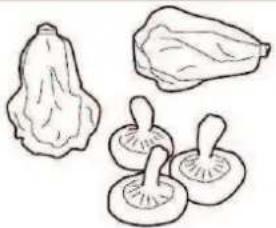 M-SYSTEM MKRV122 - Instructions for food storage - 1