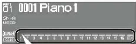 P681 01 0001 Piano1 SN-A USER Inute Solve