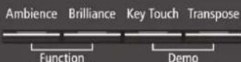 ROLAND LX7BW - Régler le volume général - 2
