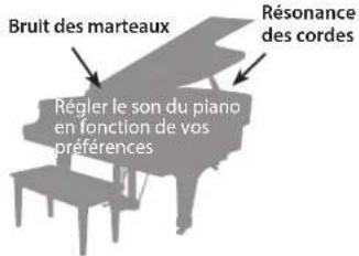 Bruit des marteaux Régler le son du piano en fonction de vos préférences Résonance des cordes