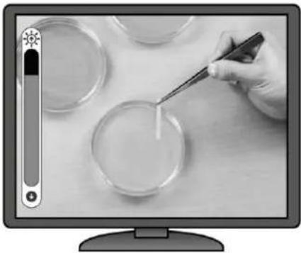 Elmo TX1 - ■ AF (MISE AU POINT AUTOMATIQUE) - 10
