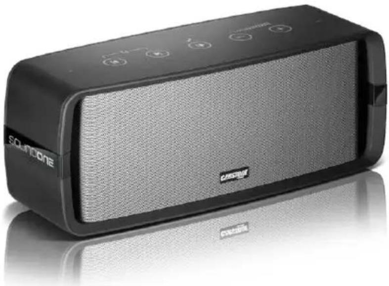 Wentronic SoundOne - CABSTONE™ - 1