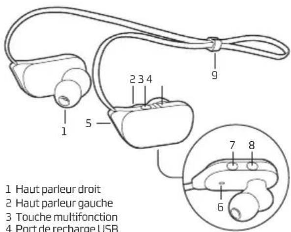 NGS Artica Ranger - 1