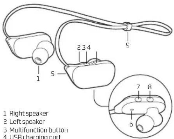 NGS Artica Ranger - ARTICA RANGER - 1